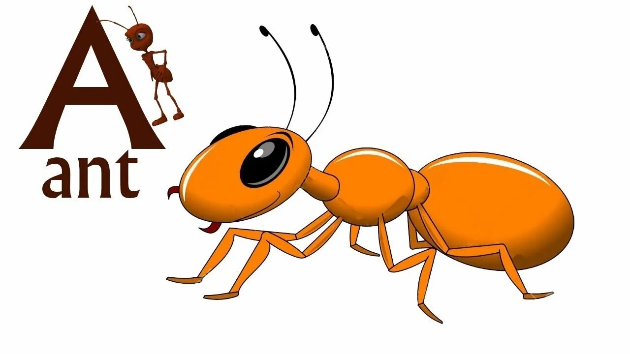 Ant текст. карточки английски муравей. английские слова муравей. карточка муравей на английском. муравей на английском.