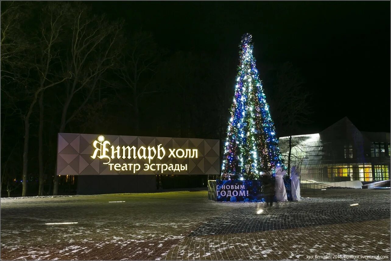 елка в светлогорске 2022. новогодний светлогорск. елка в светлогорске 2021. новогодний светлогорск 2022. новогодние программы светлогорск.