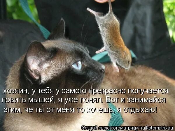 посуда с надписями. меня трудно забыть. нерест линя. поймала получается. белая акула.