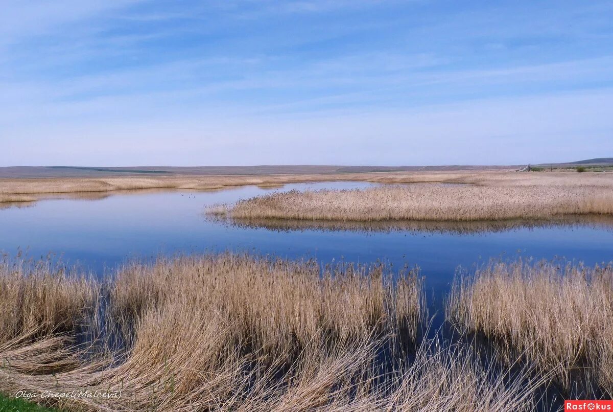 риверс филдс. видео степь да степь кругом. сарыарка — степи и озёра северного казахстана (казахстан). луг река. степная зона саратовской области.