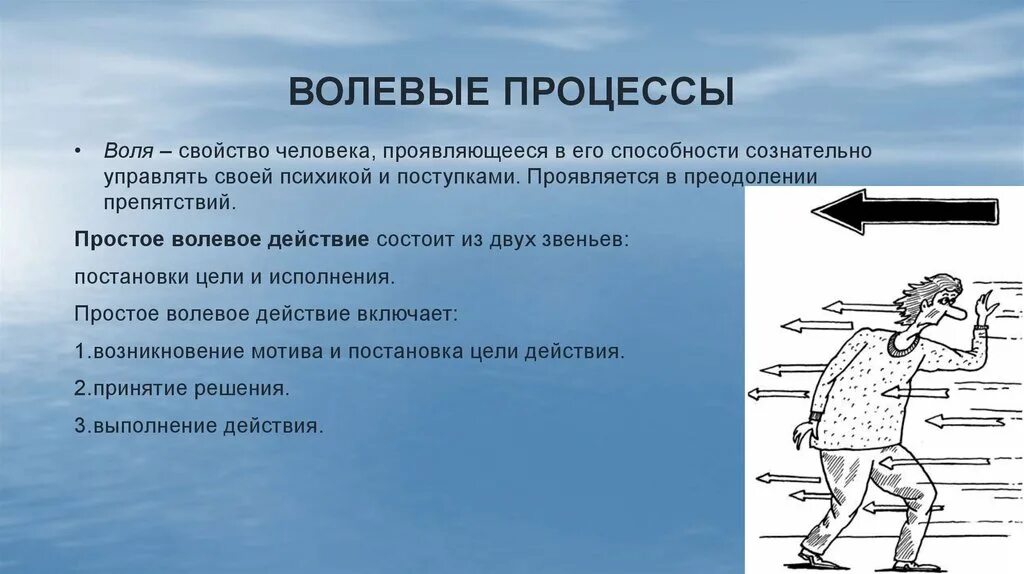 Примеры воли человека. Волевые процессы. Волевые процессы в психологии. Воля и волевые процессы. Волевые психические процессы в психологии.