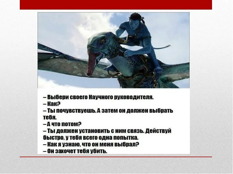 Выбор научного руководителя. Выбрать научного руководителя. как выбрать он захочет тебя убить. он выбрал тебя он захочет тебя убить. как я узнаю что он меня выбрал.