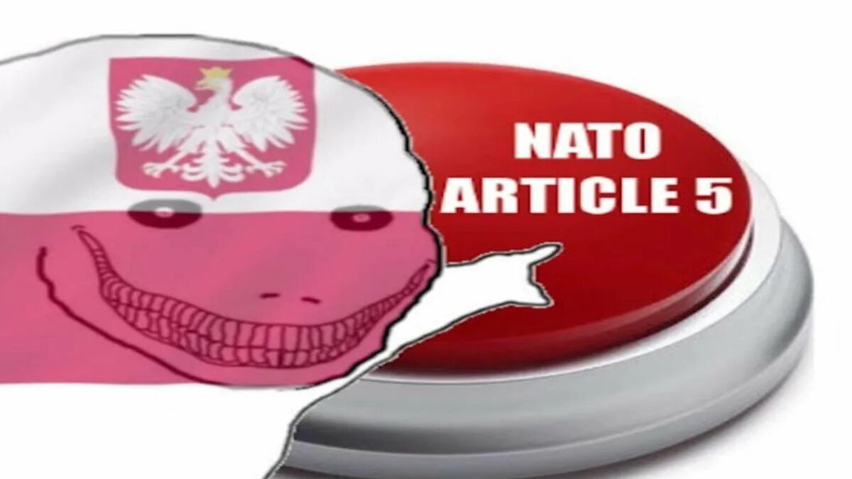 Нато мем. Польша НАТО Мем. Polish Wojak NATO article. NATO article 5. Польша артикль 5.