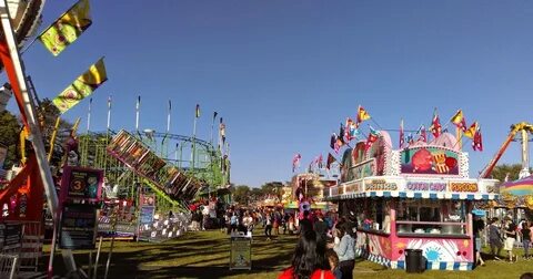 The fair