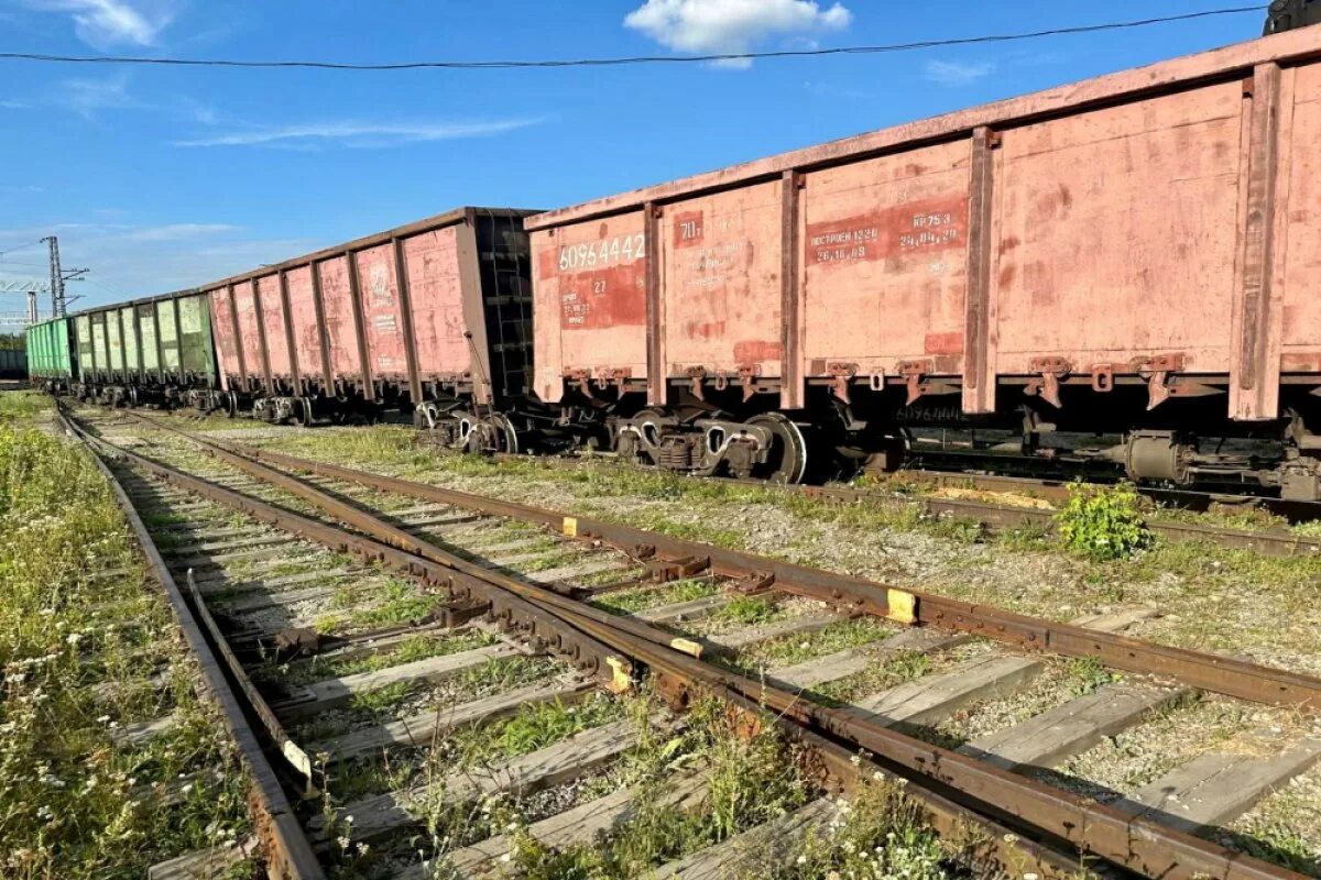 Новости вагон. Талдан сход вагонов. Жд станция бирюлево товарная. Новости вагон. 2023.