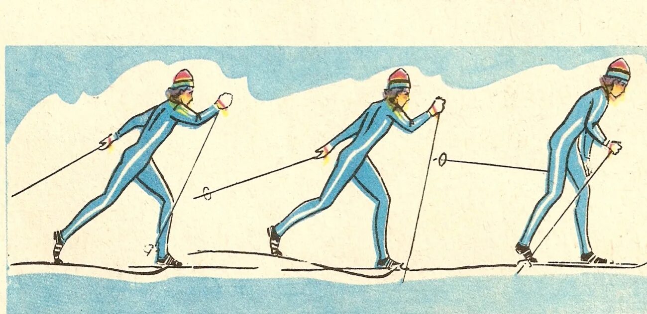 Двухшажный ход на лыжах. Двухшажный классический ход на лыжах. Техника лыжных ходов попеременный ход. Лыжные ходы классика ход. Свободное передвижение на лыжах