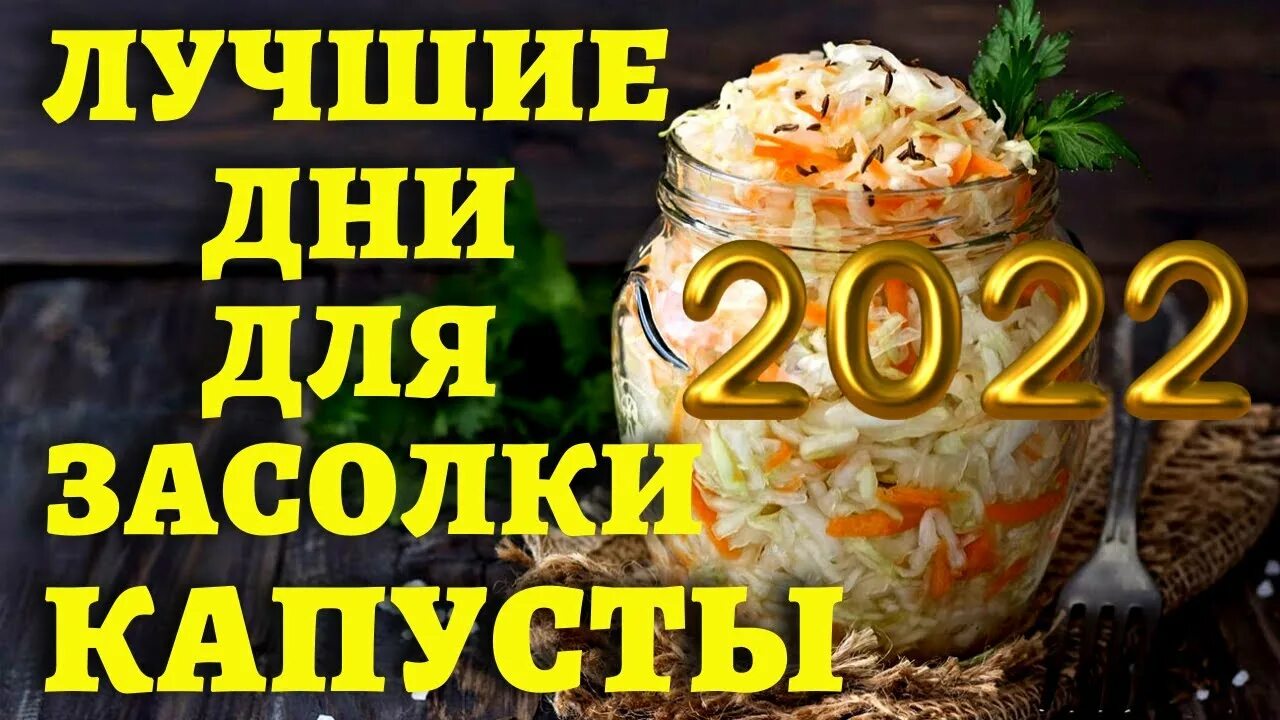 Лунный календарь солить капусту февраль 2024. Когда лучше солить капусту. Календарь для засолки капусты. Голова Садовая 2022 соление капусты хорошие дни ноябрь. Когда солить капусту в марте.