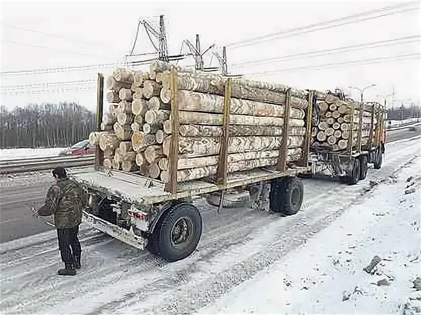 Дрова кругляк лесовоз КАМАЗ. Лесовоз с березой. Дрова березовые лесовоз. Береза кругляк в лесовозе.