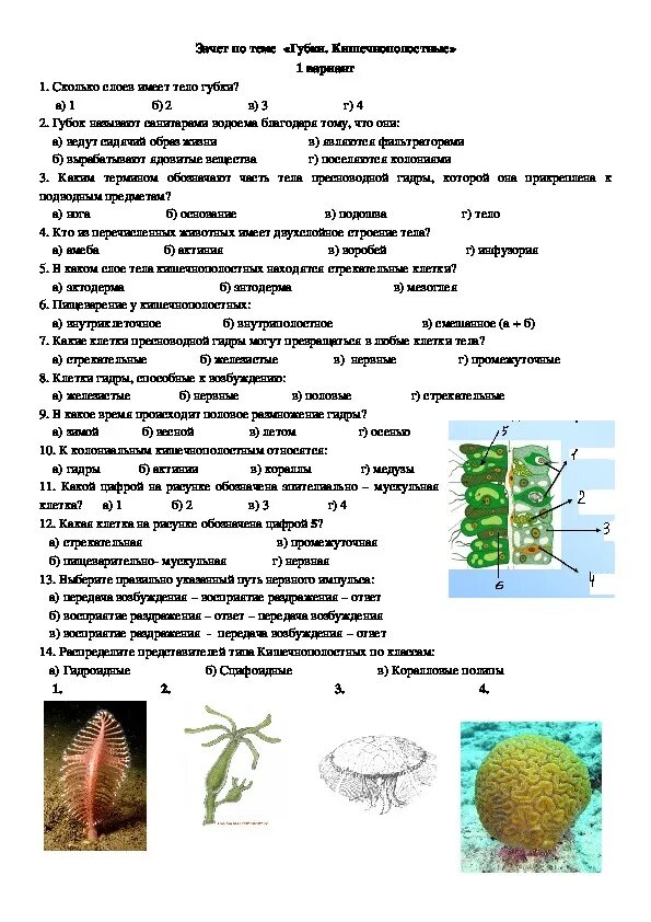 Биология 7 вопросы