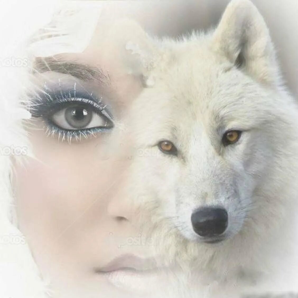 Одинокая волчица белый песня. Женщина волк. Красивая девушка с волком. Волчица и девушка. Девушка белая волчица.