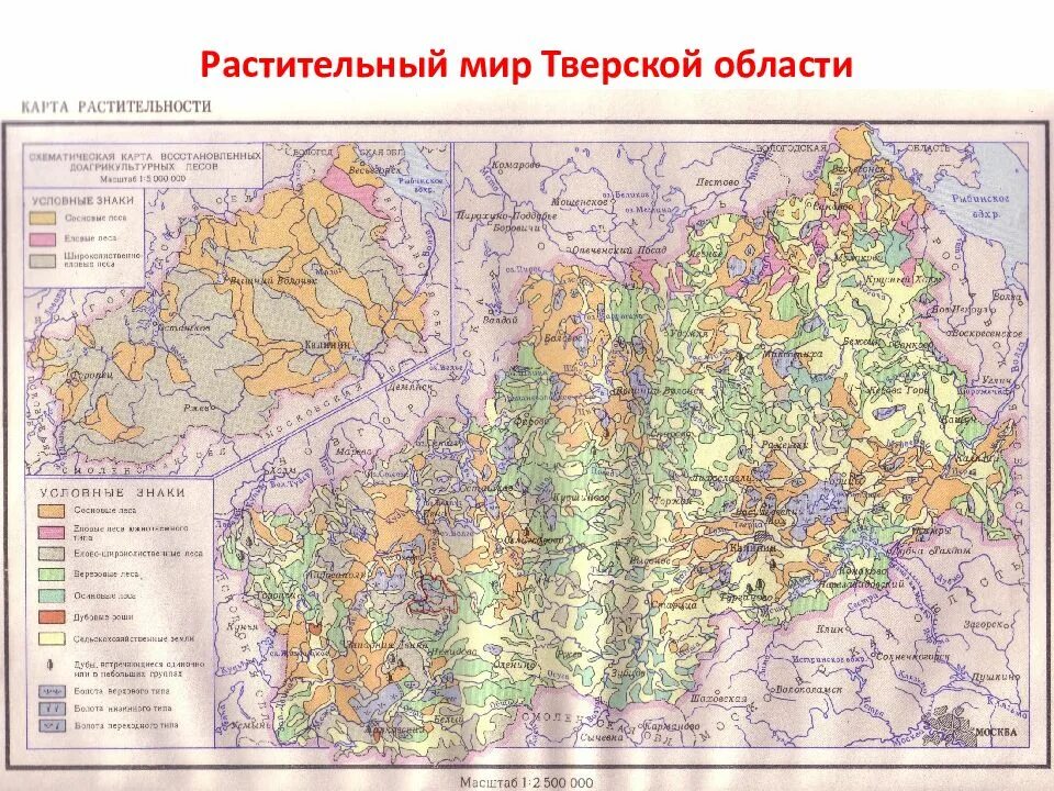 Карта почв Тверской области. Карта растительности Тверской области. Растительный мир Тверской области. Карта почв Тверской области по районам подробная.