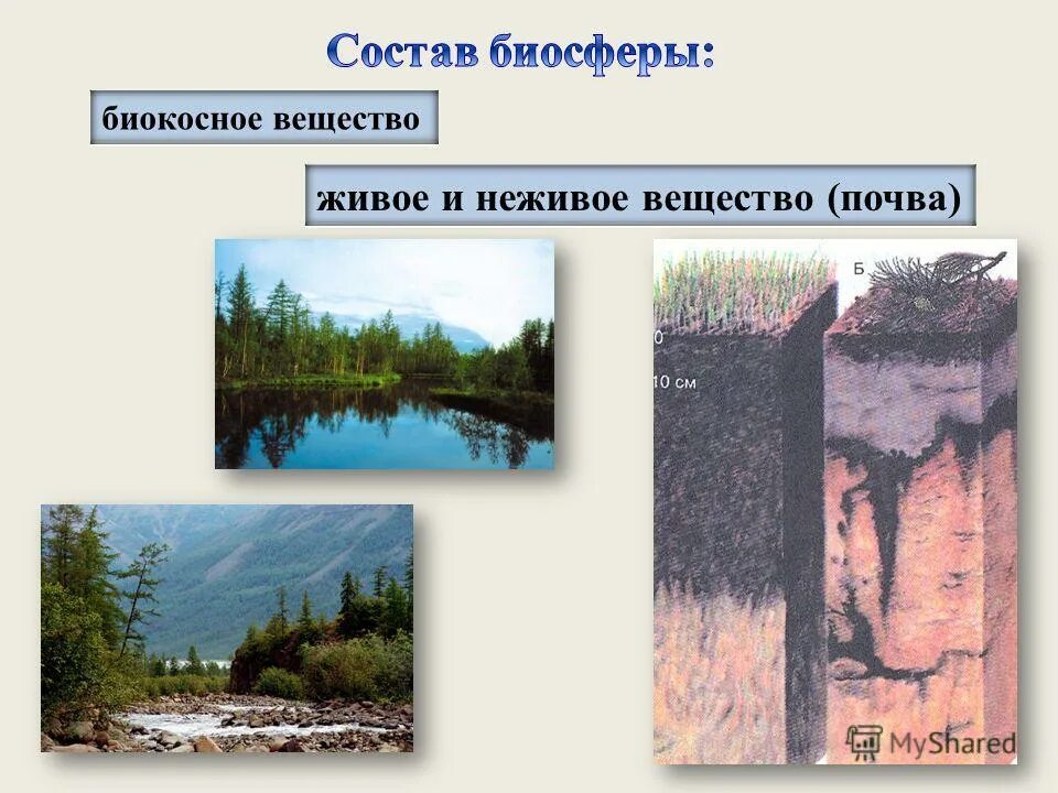 Почва какое вещество биосферы. Биокосные вещества биосферы. Костное вещество биосферы. Неживое биокосное вещество. Вещества биосферы таблица.