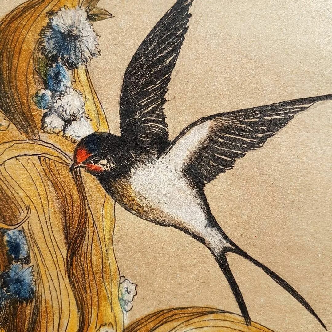 Ласточка для детей. Картина ласточки. Чарльз войси ласточки. Ласточка птица. Почему дали изображал галу в образе ласточки.