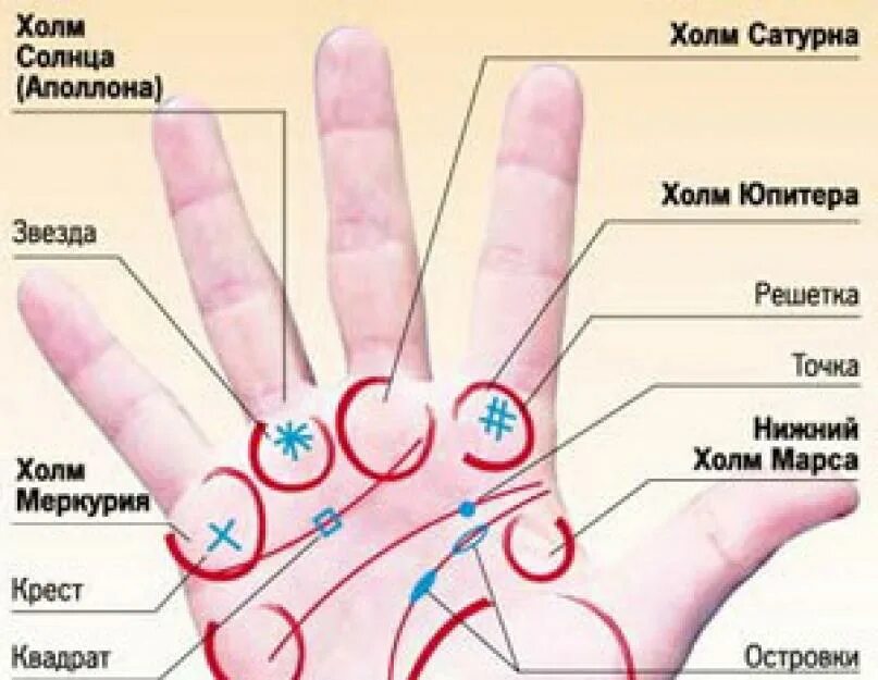 Определить заболевание по рукам. Выявление болезни по руке. Знаки на Холме Юпитера. Холм Юпитера на руке знаки. Знаки на Бугре Юпитера.