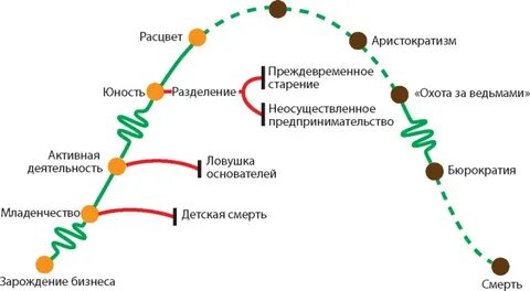 Жизненный цикл компании по адизесу