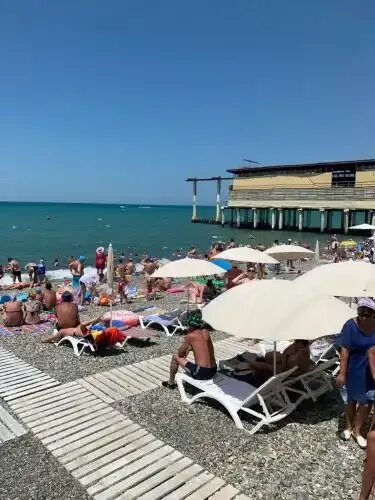 Гостевой дом алгор адлер. Алгор адлер частная гостиница. адлер алгор герцена 12. герцена 23 адлер. адлер герцена 15.