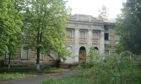 Включи мерчик