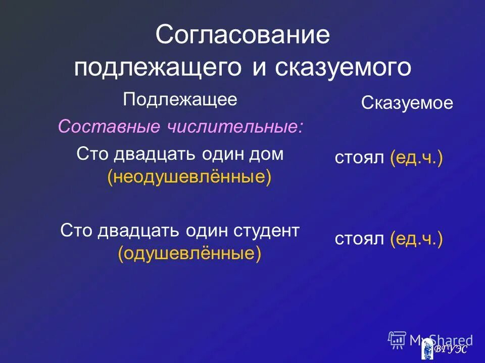 Подлежащее и сказуемое согласование. Согласование подлежащего и сказуемого с числительными. Числительное сказуемое. Подлежащее числительное и сказуемое согласование.