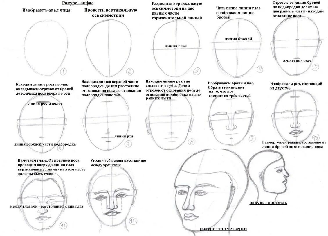 Технологическая карта по изобразительному искусству. Пропорции головы человека. Технологическая карта урока изо в 6 классе. Технологическая карта портрет. Технологическая карта 4 класса изо