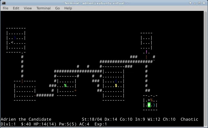 Лучшие консольные игры Linux. NETHACK игра. Текстовая игра в консоли. Игры в терминале линукс.