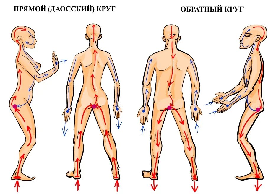 Прямой даосский круг и обратный схема. Фаербол прямой и обратный круг. Прямой и обратный даосский круг энергии. Прямой и обратный круг энергетические потоки. Потоки через тело