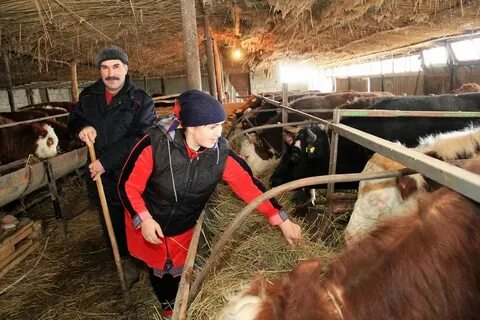 Семейные кфх