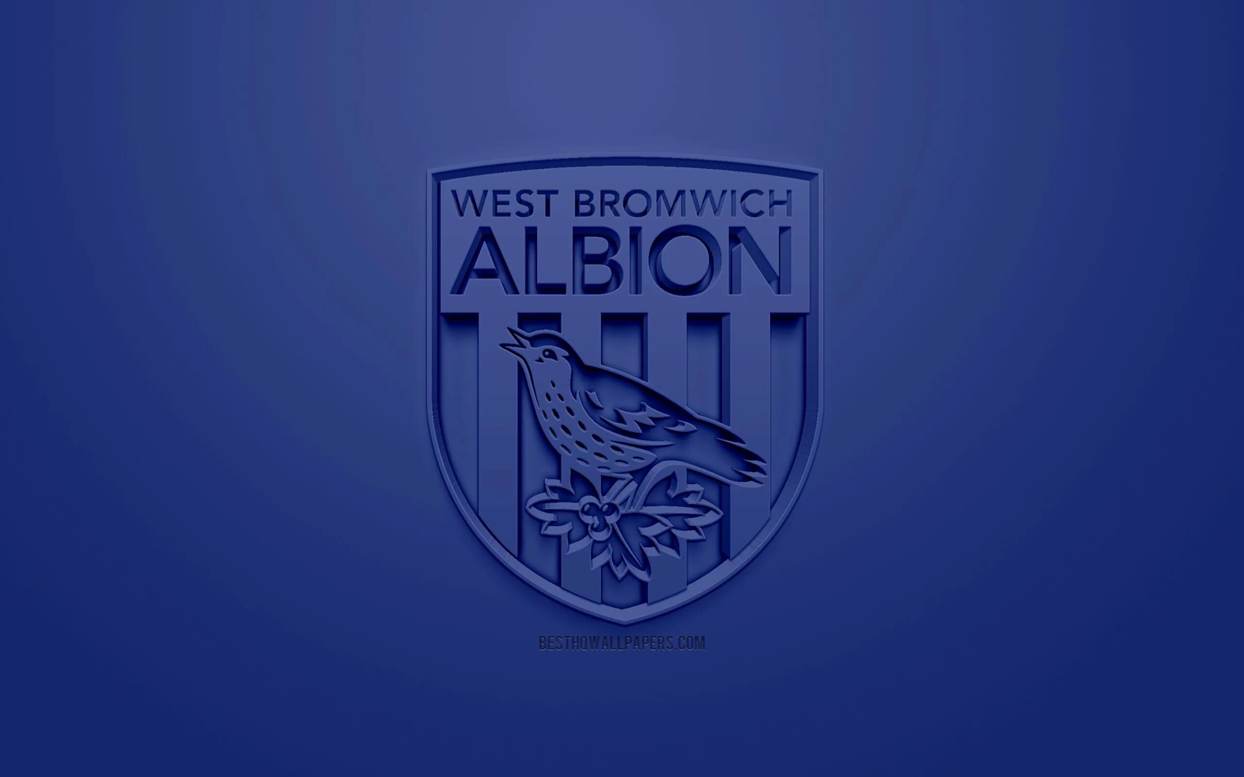 Вест бромвич апл. West bromwich. West bromwich albion fc logo. Лого фк вест бромвич альбион. Вест бромвич альбион логотип.