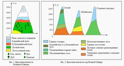 Горы южной сибири природные зоны