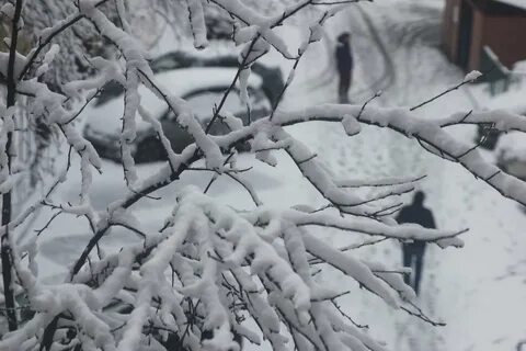 В январе обильный снегопад накрыл москву белым
