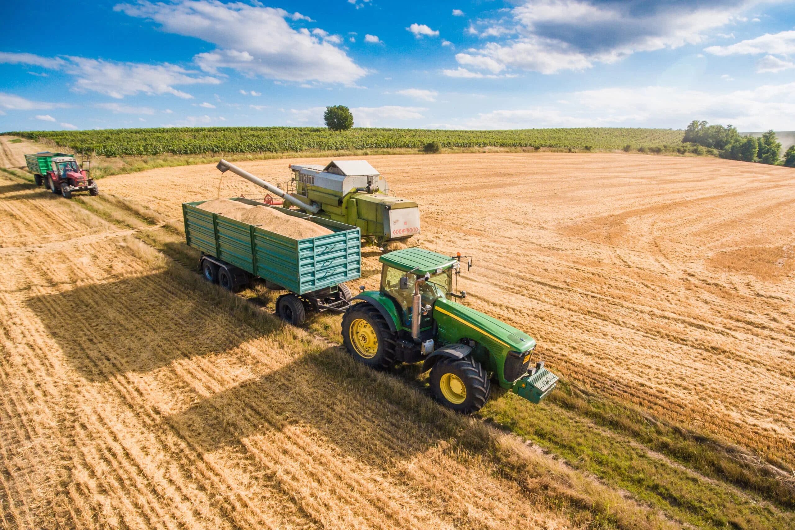 Районы производства сельскохозяйственной продукции. Агропромышленный комплекс Алтайского края. Агро промышленный комплекс. Фермерское хозяйство. Крестьянское хозяйство.