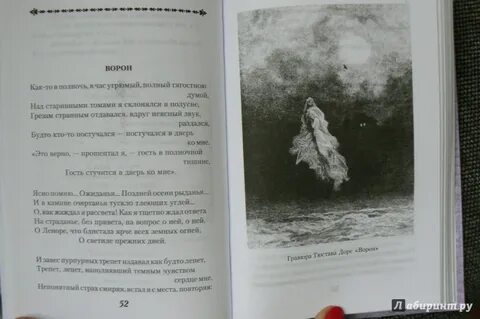 Птицы не позже полуночи и другие истории