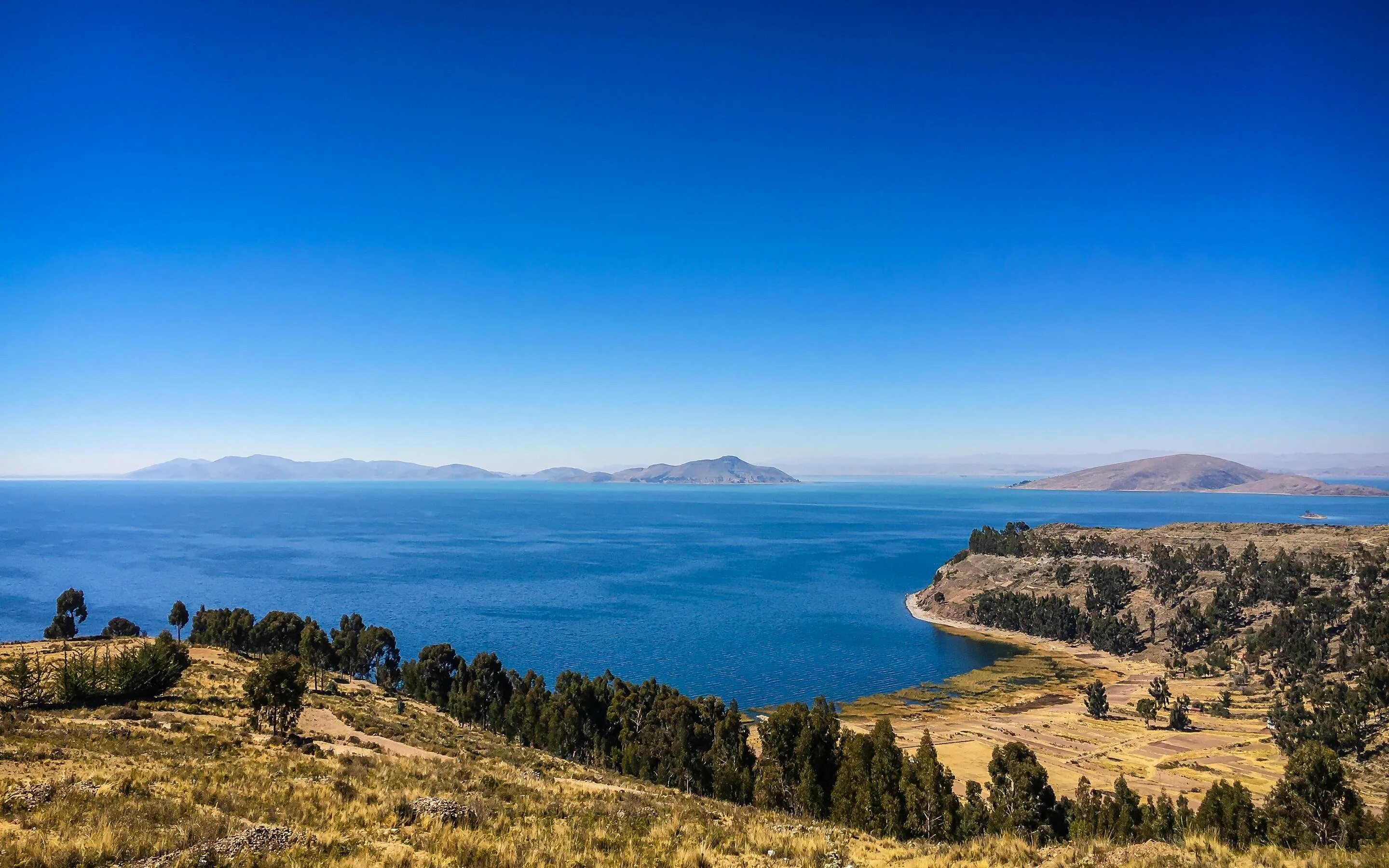 Озеро титикака в южной америке. Южная Америка озеро Титикака. Озеро Титикака Перу. Боливия озеро Титикака. Высокогорное озеро Перу.