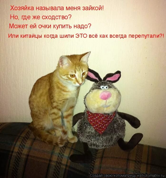 песня называй меня зайка называй котенок. песня называй меня зайка называй котенок. называют меня не красивы ю. текст песни зайка моя. карт бланш группа состав.