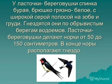 Ласточки 1 разбор
