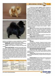 Померанский шпиц вес взрослой собаки