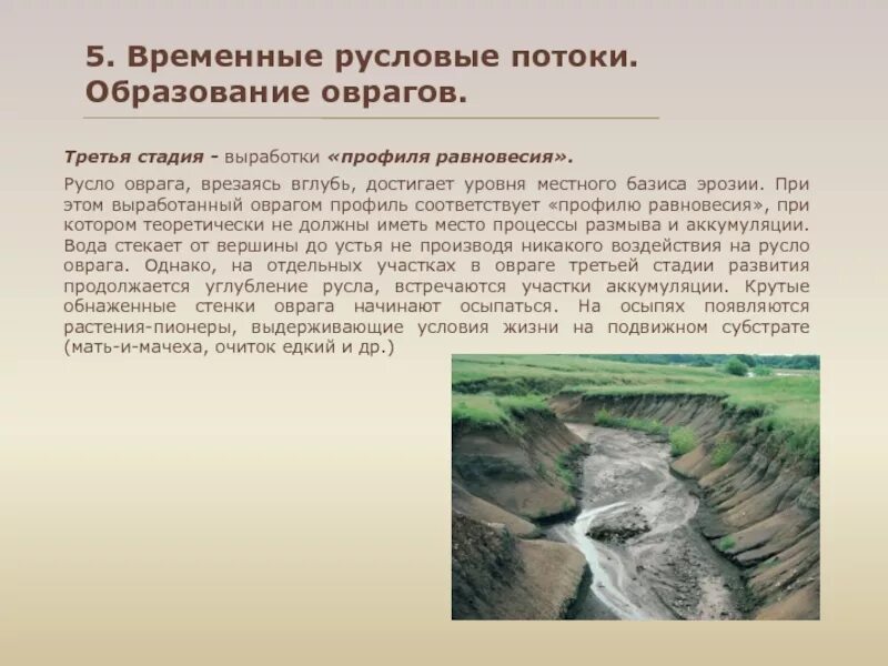 Стадии оврагов. Этапы образования оврага. стадии формирования оврага. временные русловые потоки. стадий развития оврагов.