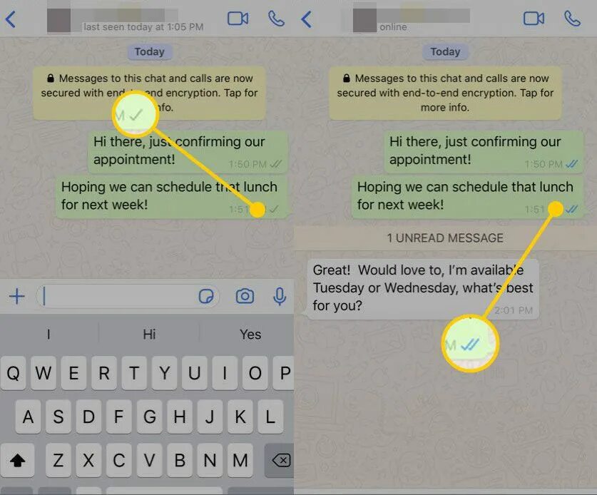 Как отключить прочитанные сообщения в ватсап. Read receipts whatsapp что это. значки о прочтении в вотсапе. как отключить в ватсап синие галочки. what is read receipt in whatsapp.