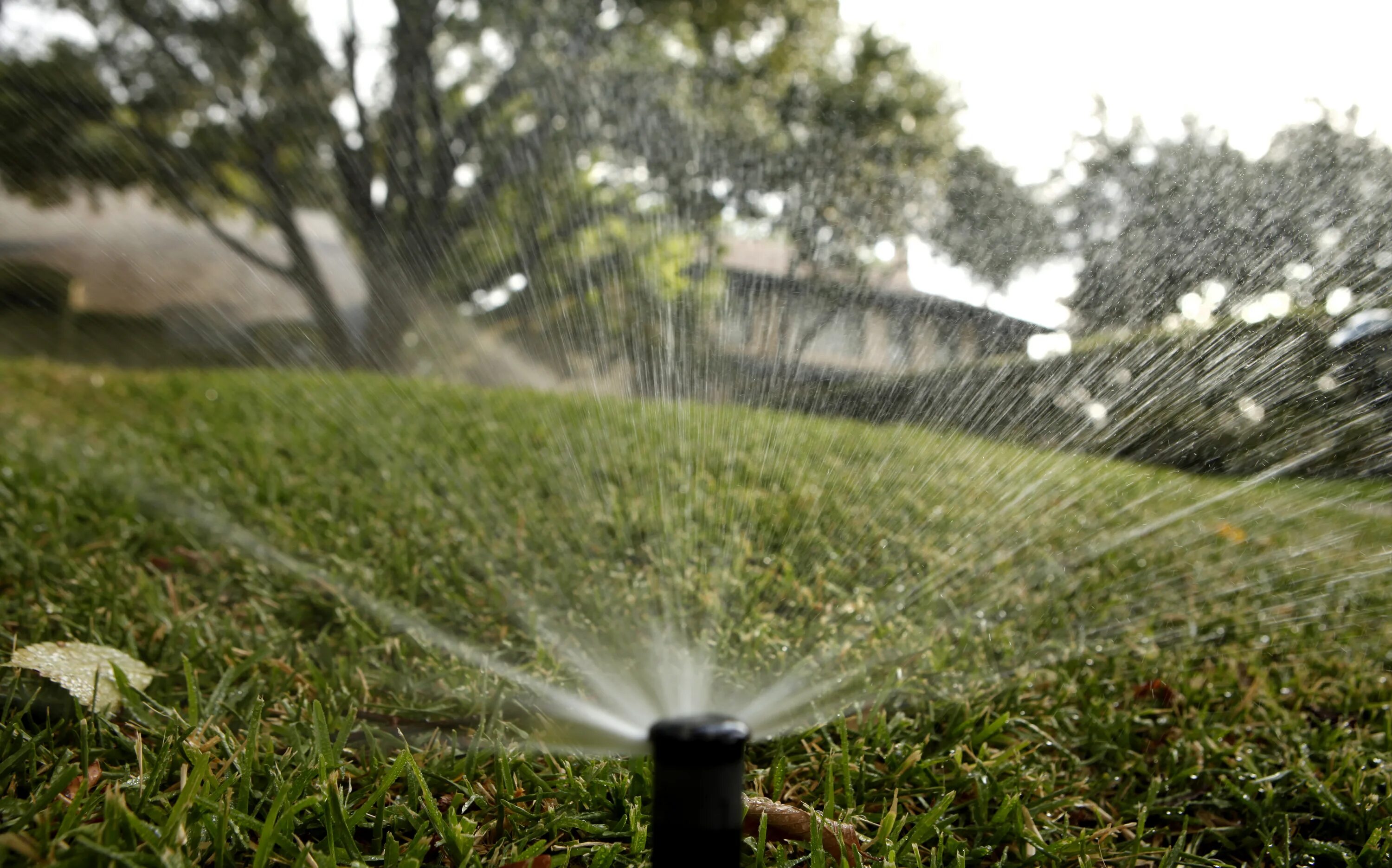 Полив огорода. Run through sprinklers. Полив из лейки. Соль для свеклы и моркови полив. Дождика для полива.
