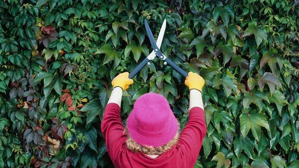 Портрет на природе. Красивая женская кожа. Екатерина лапушкина. Красота и здоровье женщины. Фотосессия весной.