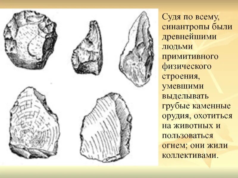 3 орудия древних людей. Синантроп орудия труда. орудия питекантропов. каменные орудия питекантропы. синантроп орудия труда таблица.