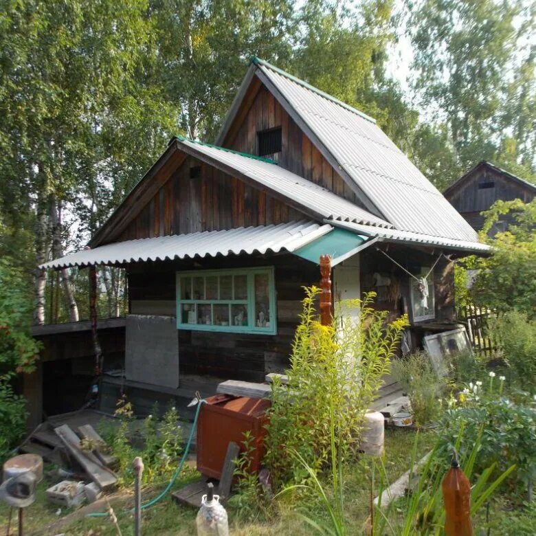 Авито красноярск дачи недорого. Дачи в красноярске фото. Город красноярск петряшино снт камалинка дачи на продажу. Авито красноярск дачи недорого. Авито красноярск дачи недорого.