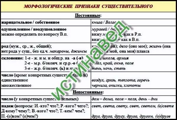 Морфологические признаки современного человека. Морфологические признаки современного человека