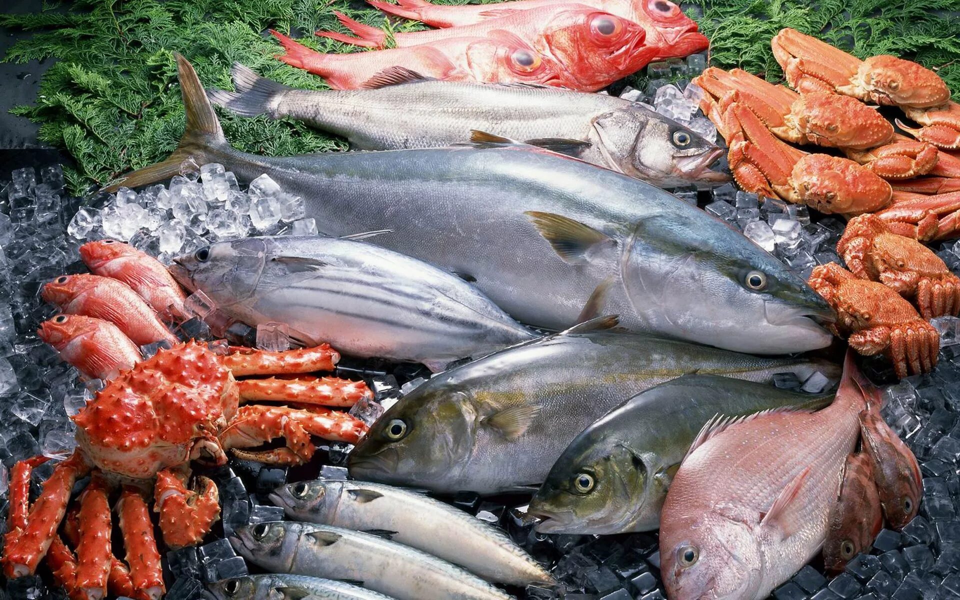 Рыба. Рыбные продукты. Рыба и рыбопродукты. Рыба съедобная. Фиш фуд