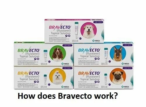 Флураланер для собак. Бравекто spot on 4,5-10 кг шрихкод. Бравекта. Бравекто лого. Надпись Бравекто.