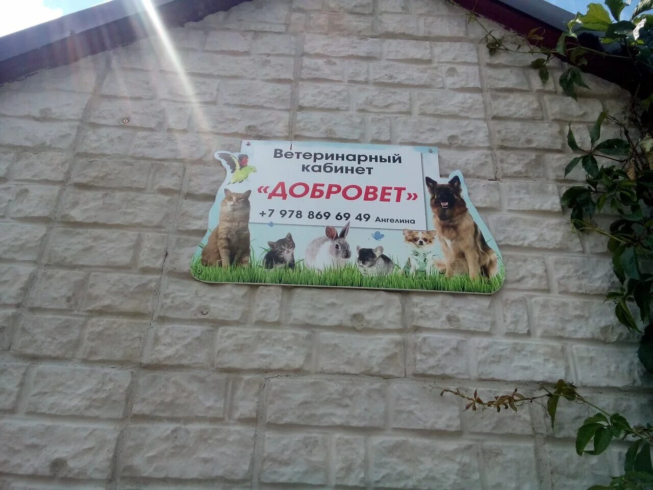 ветеринарная клиника бабушкинская. ветеринарная клиника на крымской. добровет персонал ветеринарная клиника челябинск. станица елизаветинская ветеринарные клиники. хабаровск ветклиника пер степной.