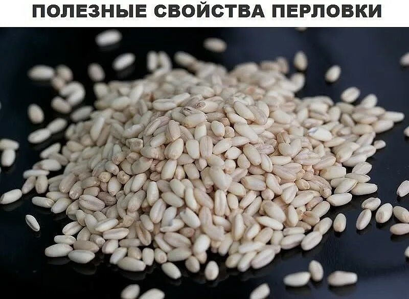 Полезное перлова. Перловая крупа. крупа перловая очищенная. перловка белая. перловка зерно.