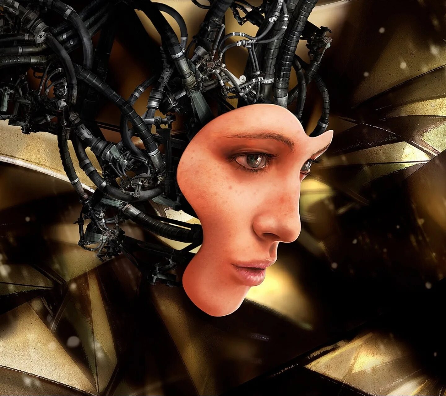 Кэрол эмека cyberpunk 2077. Киборг арт. Киберпанковский искин. Киборг программист. Роботы через 100 лет.