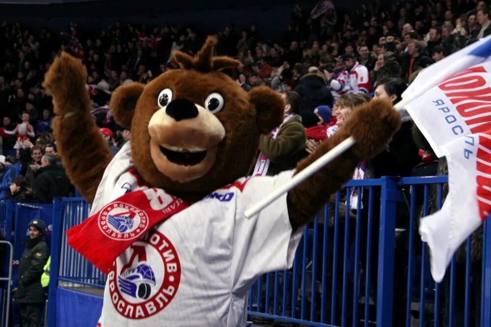 Медведь работа. Медведь с фотоаппаратом. Мишки тедди ручной. Мишка на работе. Сергей горшков фотограф дикой природы.