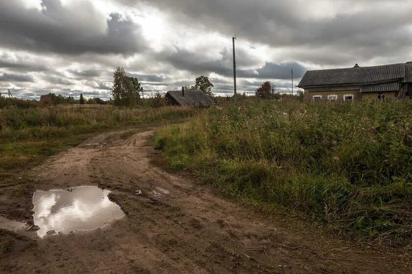Покровское село сокольский район. Заброшенные деревни вологодской области на андозере. Погода в вологодской обл д. Деревня славынево устюженский район. Село сямжа село сямжа, вологодская область.