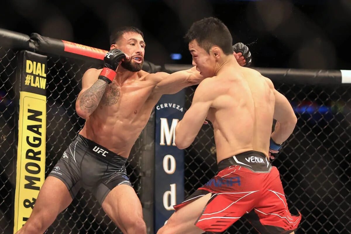 Прямой эфир ufc сейчас трансляция